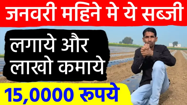 जनवरी में करें इन सब्जियों की खेती: नए साल में होगी लाखों की कमाई, किसानों के लिए वरदान साबित होगा यह महीना